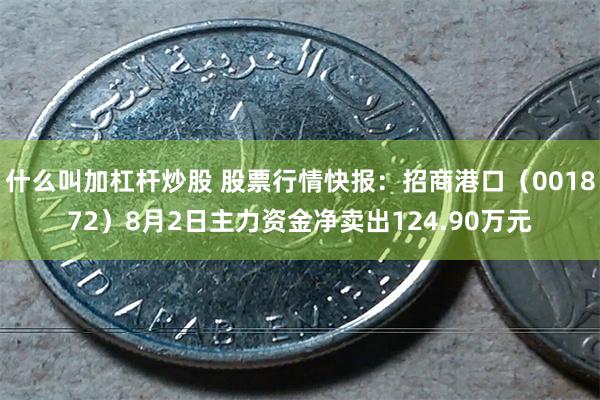 什么叫加杠杆炒股 股票行情快报：招商港口（001872）8月2日主力资金净卖出124.90万元