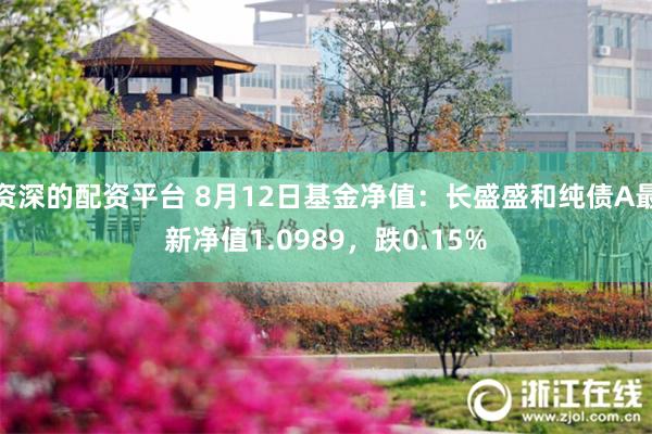 资深的配资平台 8月12日基金净值：长盛盛和纯债A最新净值1.0989，跌0.15%