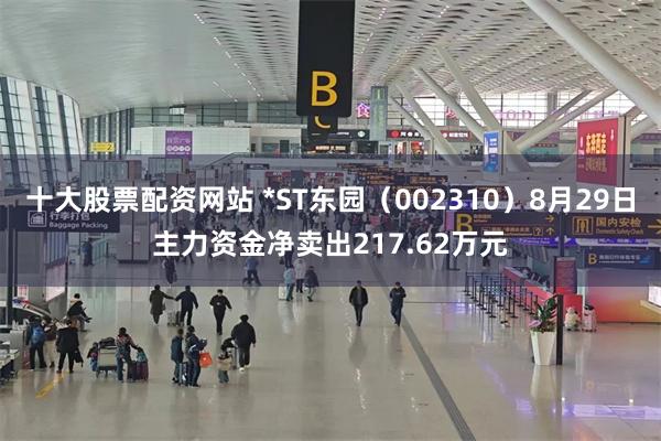 十大股票配资网站 *ST东园（002310）8月29日主力资金净卖出217.62万元