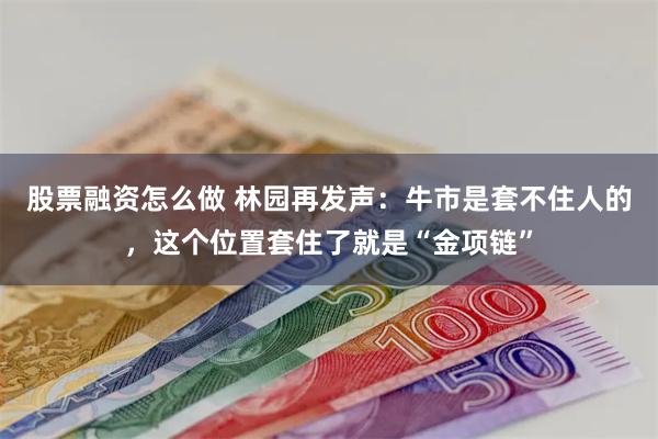 股票融资怎么做 林园再发声：牛市是套不住人的，这个位置套住了就是“金项链”