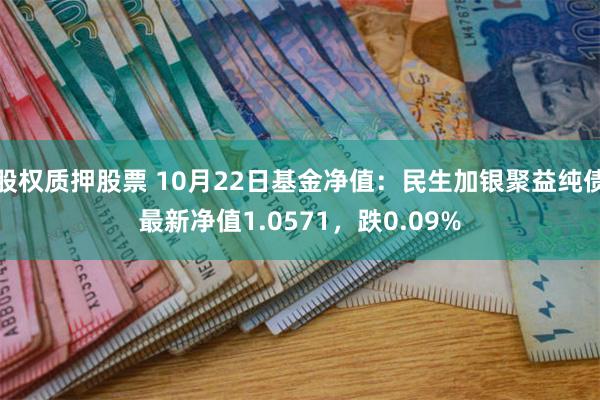 股权质押股票 10月22日基金净值：民生加银聚益纯债最新净值1.0571，跌0.09%