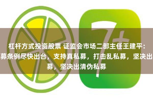 杠杆方式投资股票 证监会市场二部主任王建平：将推动私募条例尽快出台，支持真私募，打击乱私募，坚决出清伪私募