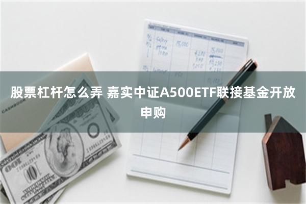 股票杠杆怎么弄 嘉实中证A500ETF联接基金开放申购