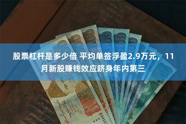 股票杠杆是多少倍 平均单签浮盈2.9万元，11月新股赚钱效应跻身年内第三