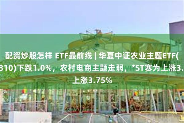 配资炒股怎样 ETF最前线 | 华夏中证农业主题ETF(516810)下跌1.0%，农村电商主题走弱，*ST赛为上涨3.75%