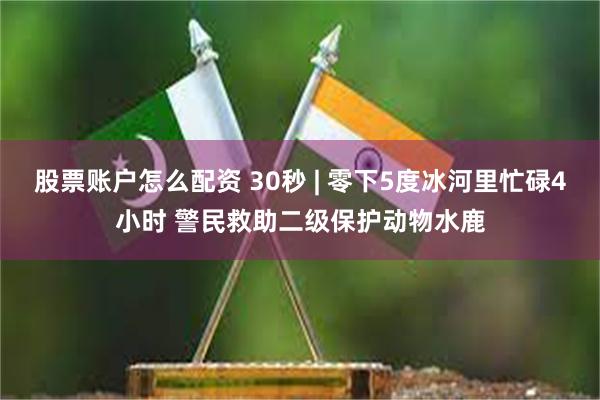 股票账户怎么配资 30秒 | 零下5度冰河里忙碌4小时 警民救助二级保护动物水鹿