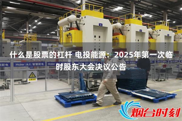 什么是股票的杠杆 电投能源：2025年第一次临时股东大会决议公告