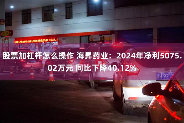 股票加杠杆怎么操作 海昇药业：2024年净利5075.02万元 同比下降40.12%