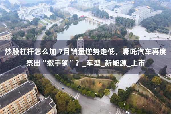 炒股杠杆怎么加 7月销量逆势走低，哪吒汽车再度祭出“撒手锏”？_车型_新能源_上市